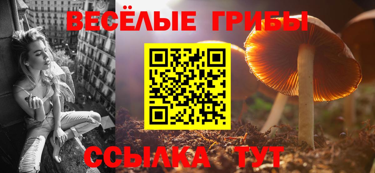 Юрга  Псилоцибиновые грибы ЛСД  Вход с VPN  Псилоцибиновые грибы Magic Shrooms 