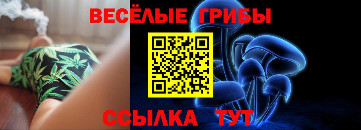 Псилоцибиновые грибы MAGIC MUSHROOMS Юрга